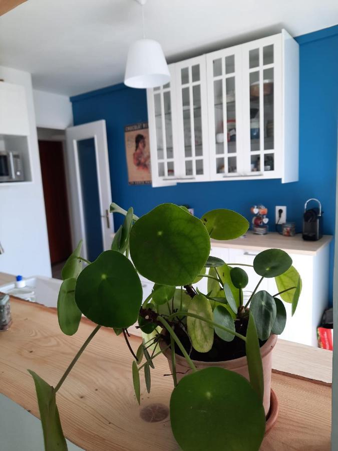 Appart Proche Plage Avec Grand Balcon Cannes Eksteriør billede